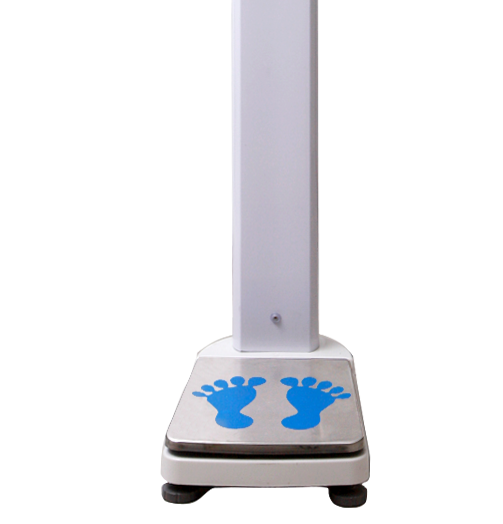 �O����y�������z�y